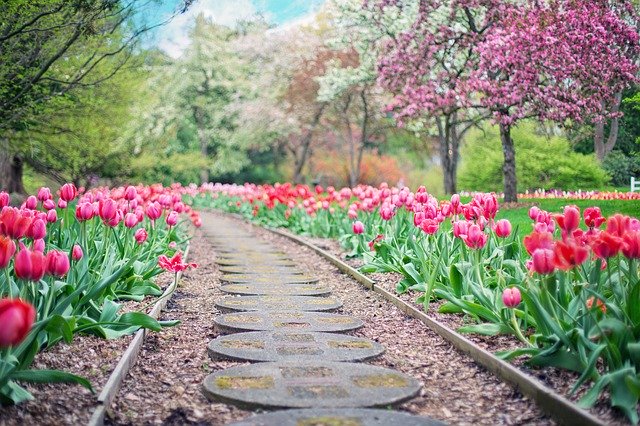 jardins et services Interventions régulières